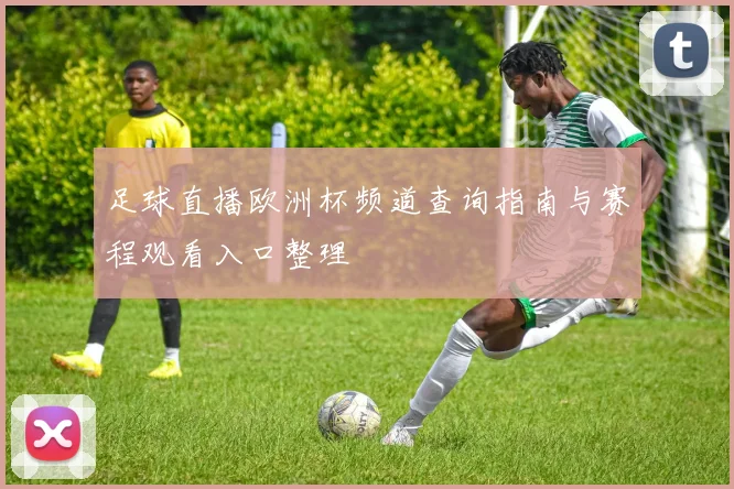 足球直播欧洲杯频道查询指南与赛程观看入口整理