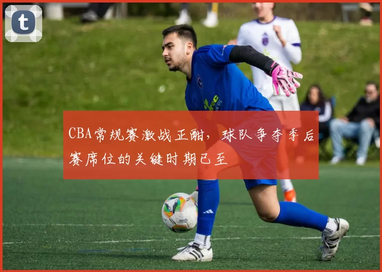 CBA常规赛激战正酣,球队争夺季后赛席位的关键时期已至