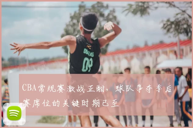 CBA常规赛激战正酣，球队争夺季后赛席位的关键时期已至