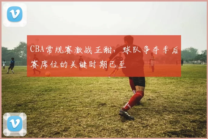 CBA常规赛激战正酣，球队争夺季后赛席位的关键时期已至