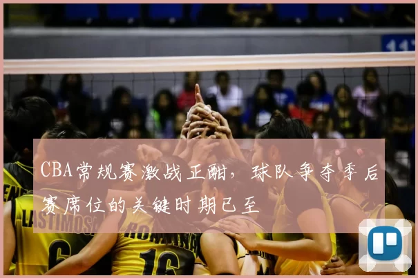 CBA常规赛激战正酣,球队争夺季后赛席位的关键时期已至