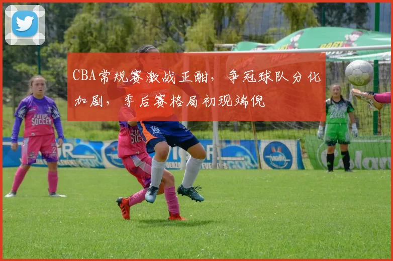 CBA常规赛激战正酣，争冠球队分化加剧，季后赛格局初现端倪