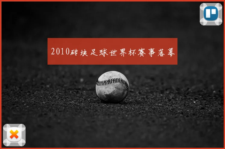 2010砖块足球世界杯赛事落幕