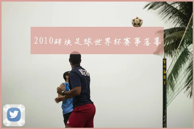 2010砖块足球世界杯赛事落幕