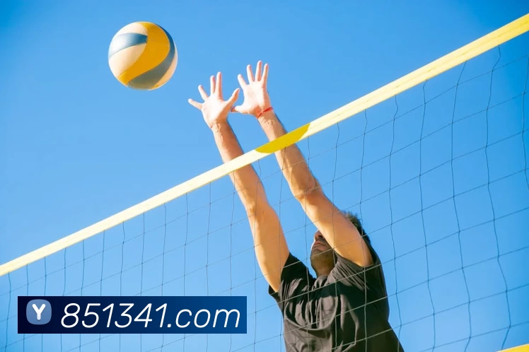 九游官网注册账号入口服务体系